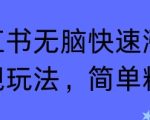 小红书无脑快速涨粉变现玩法，简单粗暴