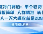 私域冷门赛道单个收费198米引流模板简单人群精准 45%的转化率单人一天大概收益多张