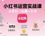 小红书运营实战课，从零到一玩賺小红书