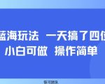 小众蓝海玩法 一天搞了四位数 小白可做 操作简单