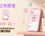 小红书原理以及详细实操流程，小红书电商教程
