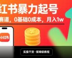 小红书暴力起号，小众赛道，0基础0成本，月入1w