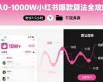从0-1000W小红书爆款算法全攻略，时长1.5小时，干货满满