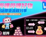 哔哩哔哩好物，B站带货流程分享，新风口项目，矩阵操作月1W