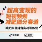 超高变现的短视频减肥细分赛道，减肥账号抖音实战训练营