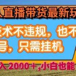 淘宝无人直播带货最新玩法，独家技术不违规，也不封号，全自动运行，只需挂着，  稳定日入2k【揭秘】