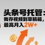 【头条号托管 】我存视频到草稿箱，你每天5分钟发布，最高月入2W+【揭秘】