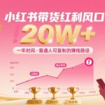 一年时间靠小红书带货项目年入20w+，最不能错的大红利项目