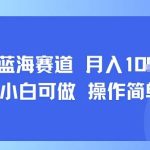 小众蓝海赛道，小白可做，操作简单，每天30分钟，月入1W+