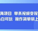 8月AI蓝海项目，单条视频变现1k+ 小白可玩 操作简单易上手
