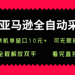 亚马逊全自动采集，单机单窗口一天10+，可无限矩阵去做【揭秘】