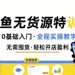 无货源特训营，0基础带你玩转咸鱼无货源