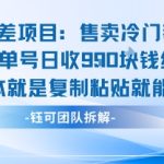 信息差项目：售卖冷门教程单人单号日收9张纯利基本就是复制粘贴就能做
