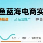 闲鱼蓝海电商实战，店铺搭建运营售后全流程