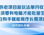 老项目新玩法单月收入2W小白有手就能操作长期项目