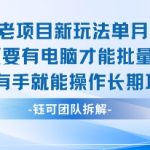 老项目新玩法单月收入2W小白有手就能操作长期项目