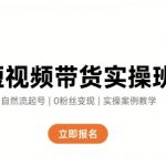 短视频带货实操班，自然流电商快速起号，实现轻松带货变现