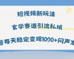 短视频新玩法玄学赛道引流私域单号每天稳定变现1k+闷声发财