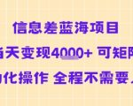 信息差蓝海项目当天变现多张 可矩阵自动化操作 全程不需要人工