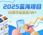 2025蓝海项目30条作品 变现1w+ 有手就能操作适合小白做