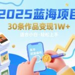 2025蓝海项目30条作品 变现1w+ 有手就能操作适合小白做