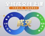全域成交线上课，一次讲透公域、私域运营成交