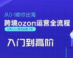 OZON入门到高阶全流程，从0-1助你出海，跨境ozon运营全流程