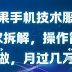 苹果手机技术服务，独家拆解，操作简单，小白可做，月过1W不是梦