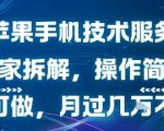 苹果手机技术服务，独家拆解，操作简单，小白可做，月过1W不是梦