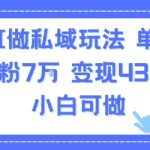 用AI做私域玩法，单条视频涨粉7W变现4.3k，小白可做