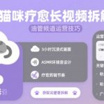 猫咪疗愈长视频拆解 &油管频道运营技巧