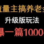 流量主之养老金升级版玩法  爆一篇收益1k+