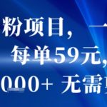 抖音男粉项目，一部手机搞定，每单59米，当天变现1k+  无需剪辑
