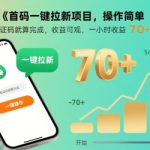首码一键拉新项目，操作简单，接个验证码就算完成，收益可观， 一小时收益70+【揭秘】