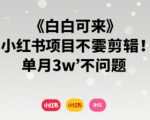 小白可来 小红书项目不需要剪辑 单月3w不是问题