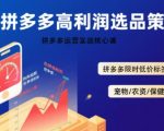 拼多多选品暴利技术实战课，拼多多高利润选品策略，拼多多限时低价标签秘诀