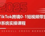 TikTok跨境0-1短视频带货，系统拆解TikTok跨境带货全链路，实现跨境可持续盈利