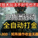 三角洲最新全自动G机，独家技术玩法，不封号也不违规， 日入8张+可矩阵操作，收益无限放大【揭秘】