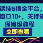 最新阅读挂G撸金平台，无风控，单窗口70+，支持矩阵，保姆级教程【揭秘】