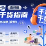 视频号实战干货指南，视频号直播全攻略（音频）