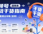 视频号实战干货指南，视频号直播全攻略（音频）
