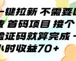 一键拉新 不需要回传 首码项目 接个验证码就算完成 一小时收益70+【揭秘】