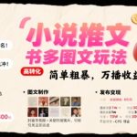 小说推文小红书多图文玩法，简单粗暴，万播收益3张