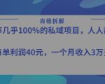 转化率最高的私域项目，每单利润40-50米，月入过1w
