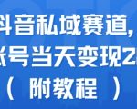 蓝海抖音私域赛道，实操单账号当天变现288+(附教程)
