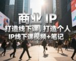 商业IP打造线下课，打造个人 IP线下课视频+笔记