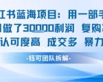 小红书蓝海项目，一部手机单月做了3W利润，小白也能月入过1W用户认可度高成交多
