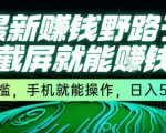 最新野路子截屏就能挣钱，无门槛，手机就能操作，日入5张【揭秘】