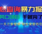 信息查询暴力掘金，一天三条视频，轻松变现四位数，风口项目干就完了【揭秘】
