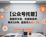 【公众号托管 】我提供文章，你复制发布，每天5分钟，最高月入躺入1W【揭秘】